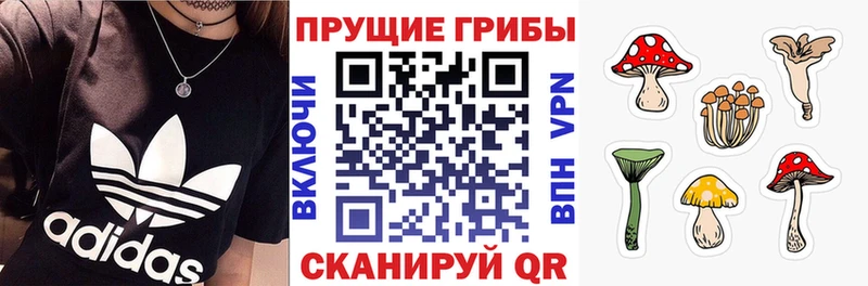 купить  цена  Дятьково  Псилоцибиновые грибы прущие грибы 